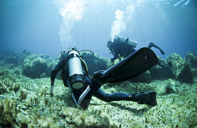 Leren duiken in Paphos Afbeelding
